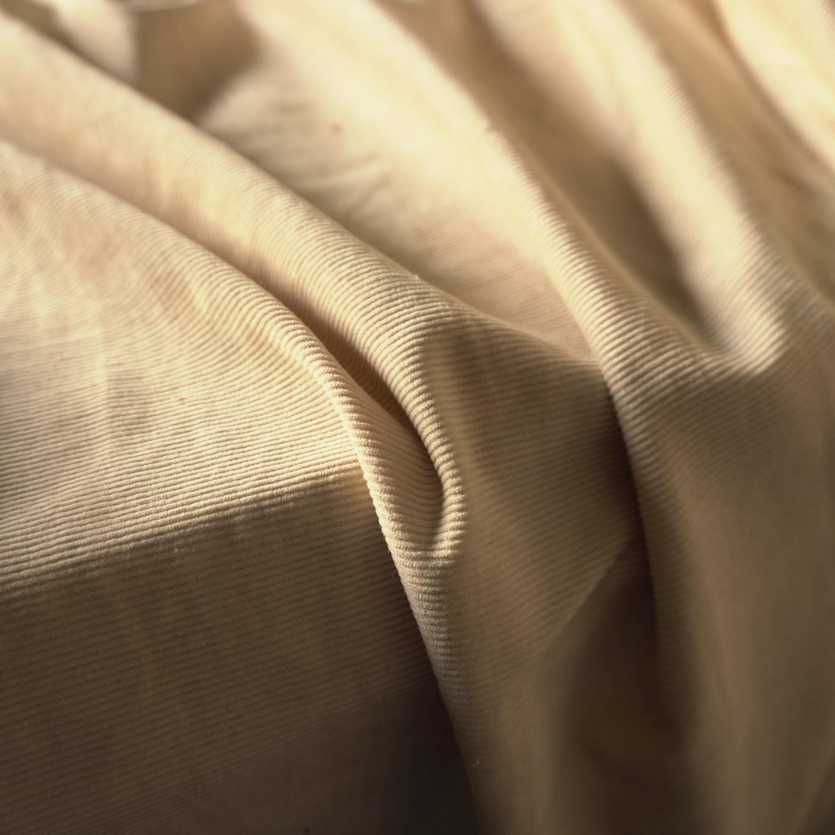 14w Needle Corduroy – Sand