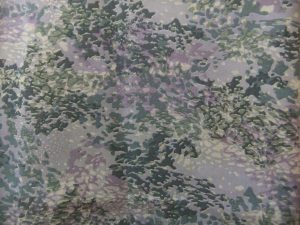 DSCF3398