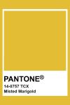 pantone--TCX