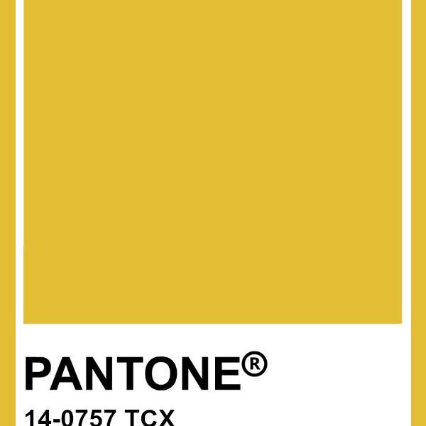 pantone--TCX
